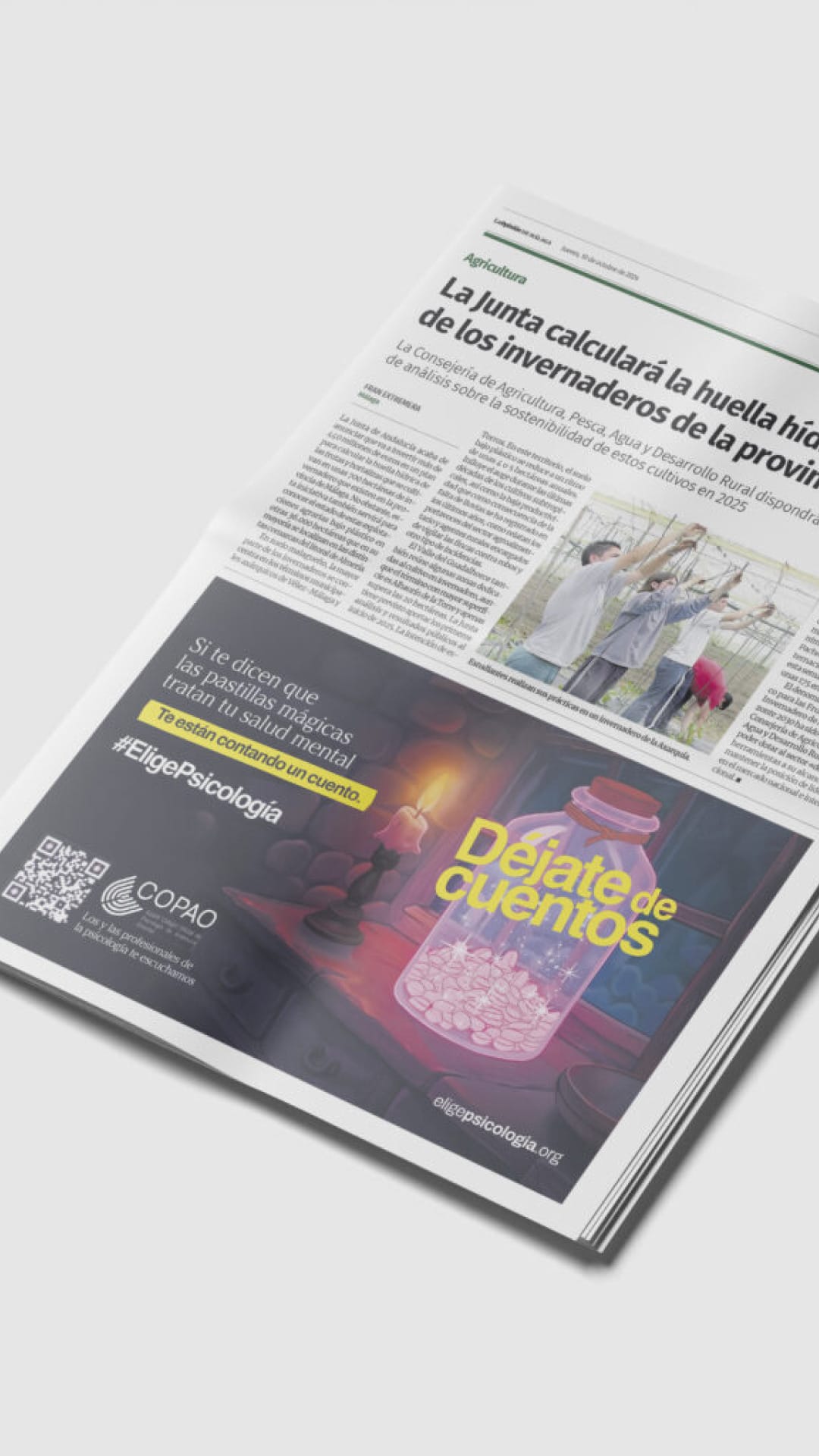 Cartelería de campaña COPAO - Detalle visual 2